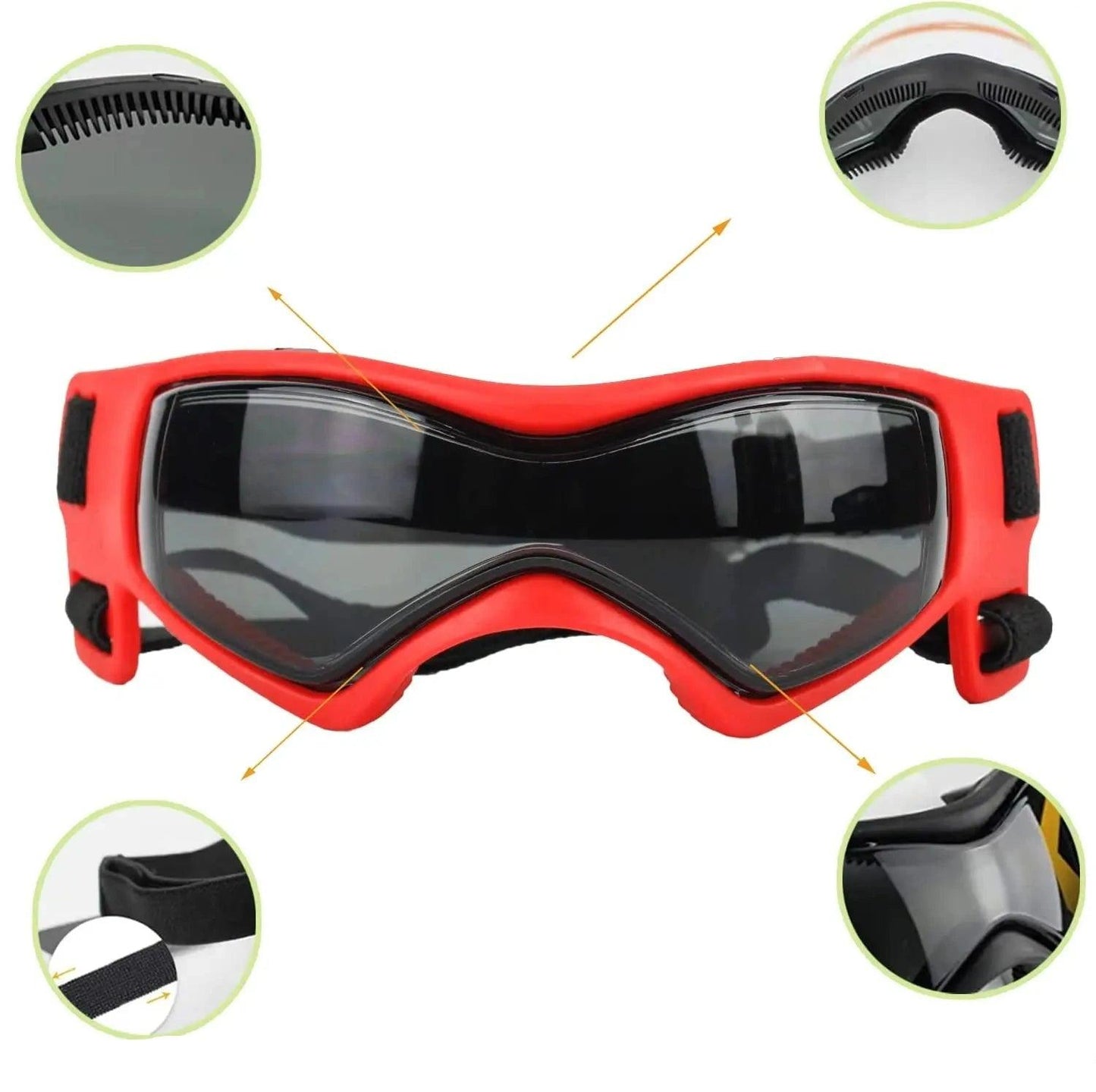 Lunettes pour Chien - l'école du chien