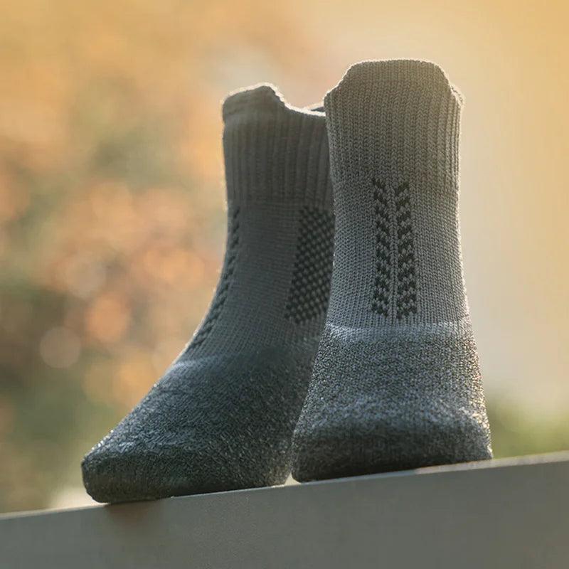 Chaussure Chien - l'école du chien
