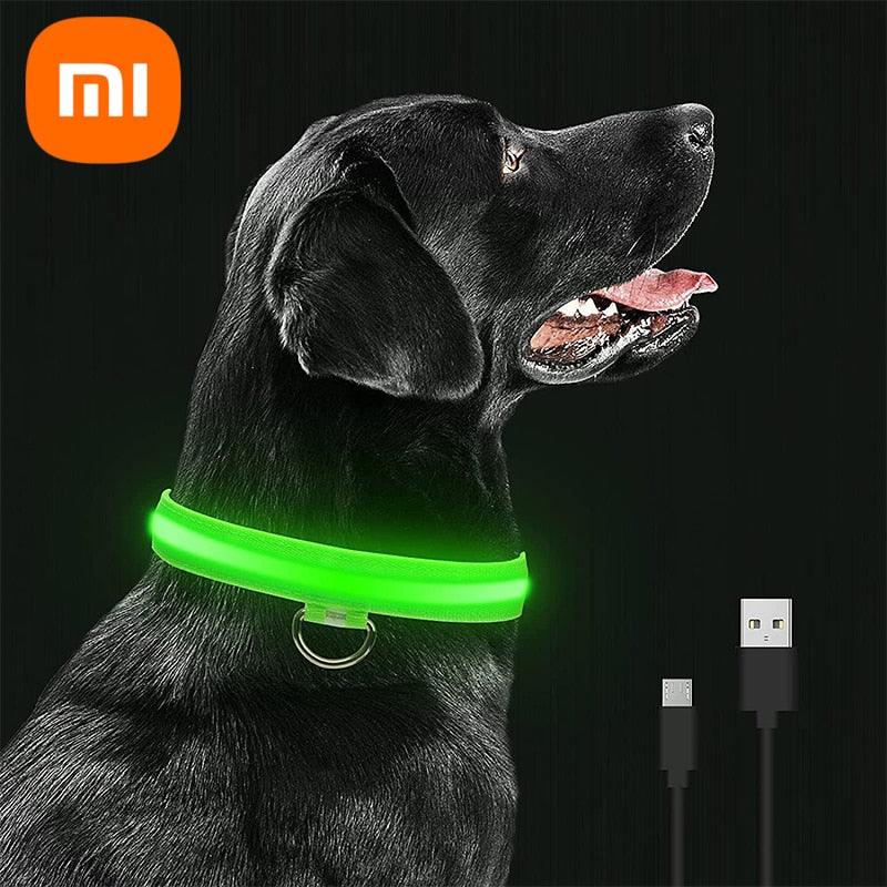 GlowPaw™ | Collier Lumineux pour Chien - l'école du chien
