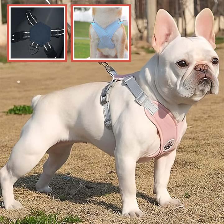 Harnais Chien - l'école du chien