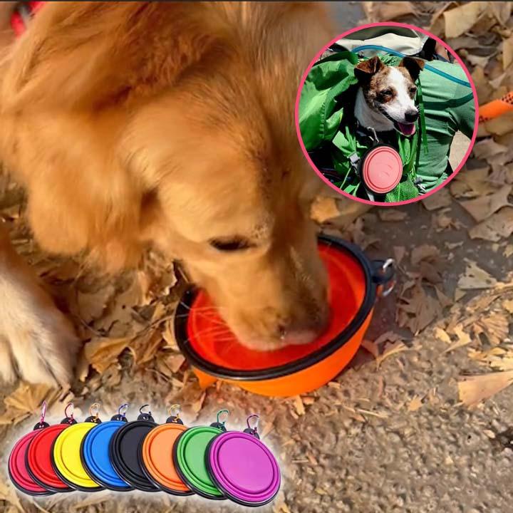 FoldableFeast™ | GAMELLE POUR CHIEN - l'école du chien