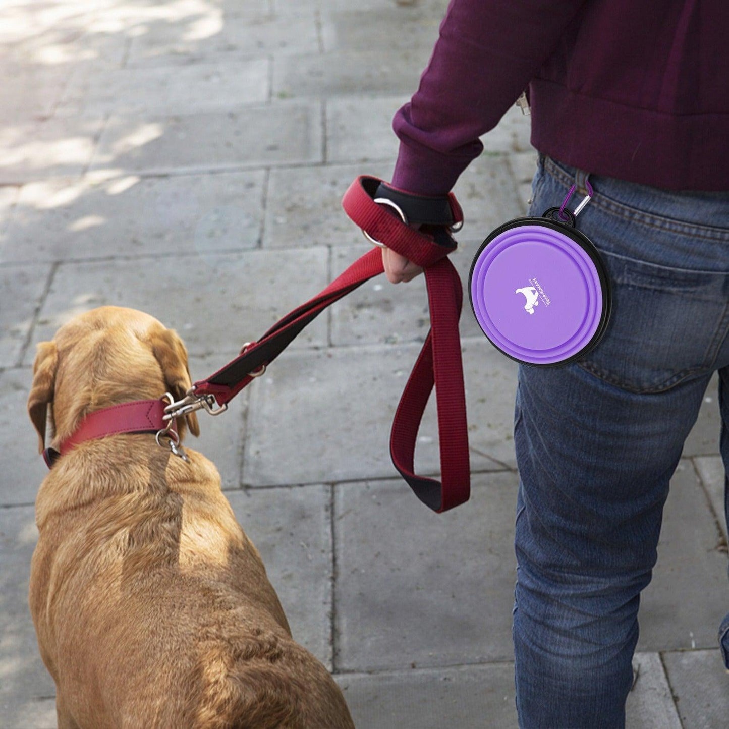 FoldableFeast™ | GAMELLE POUR CHIEN - l'école du chien