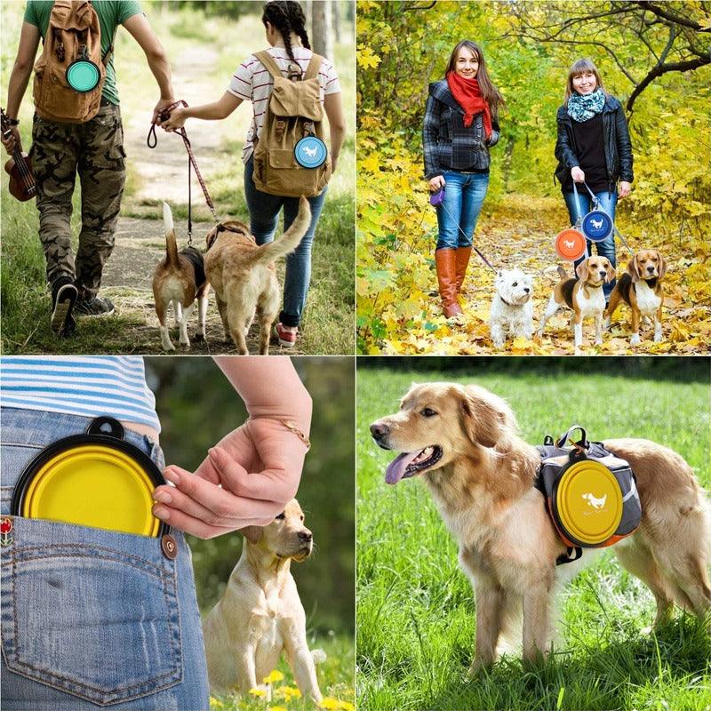 FoldableFeast™ | GAMELLE POUR CHIEN - l'école du chien