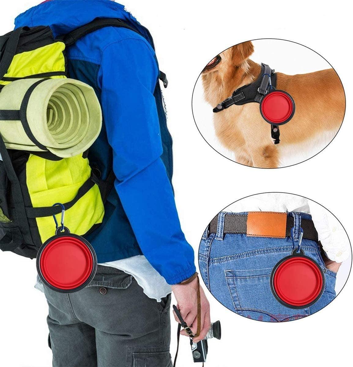 FoldableFeast™ | GAMELLE POUR CHIEN - l'école du chien