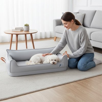 Canapé pour chien