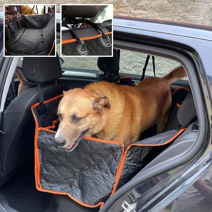 Protection Voiture Chien - l'école du chien