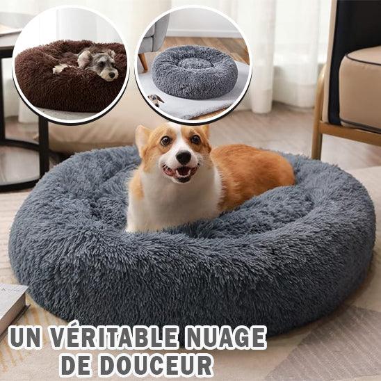 Coussin pour Chien | ConfortoPaw™ - l'école du chien