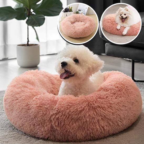 Coussin pour Chien | ConfortoPaw™ - l'école du chien