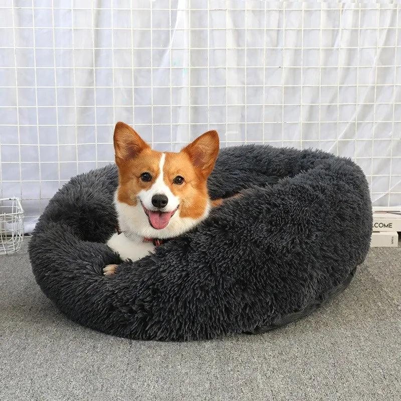 Coussin pour Chien | ConfortoPaw™ - l'école du chien