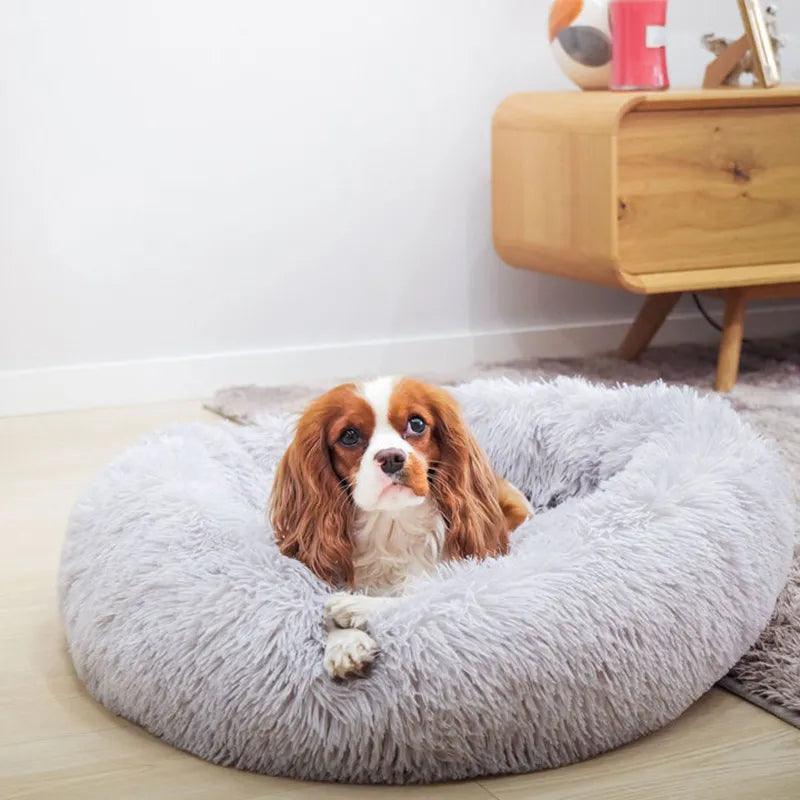 Coussin pour Chien | ConfortoPaw™ - l'école du chien