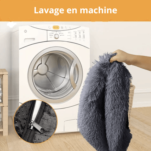 Coussin pour Chien | ConfortoPaw™ - l'école du chien