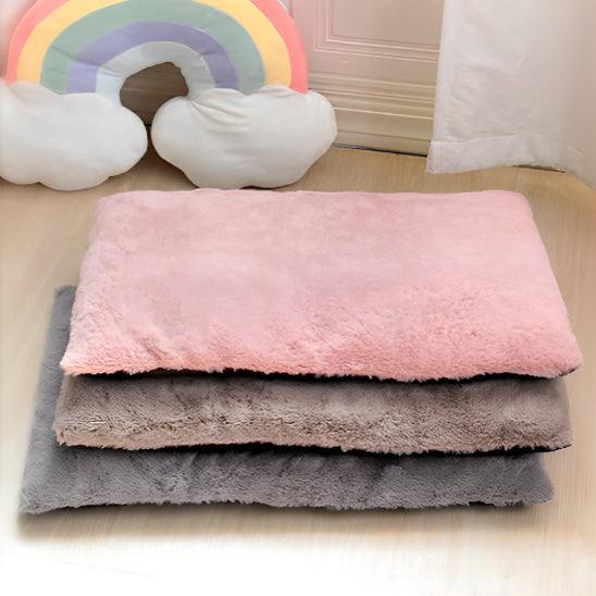 Tapis pour Chien - l'école du chien