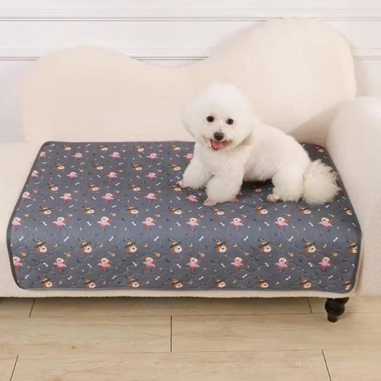 Tapis pour Chien - l'école du chien