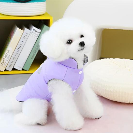 Manteau Chien - l'école du chien