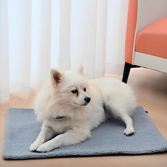 Tapis pour Chien - l'école du chien
