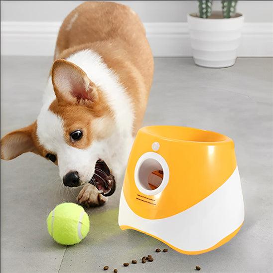 Lanceur de Balle pour Chien - l'école du chien