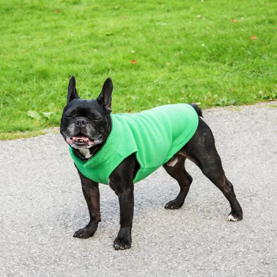 Manteau Chien - l'école du chien