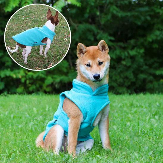Manteau Chien - l'école du chien