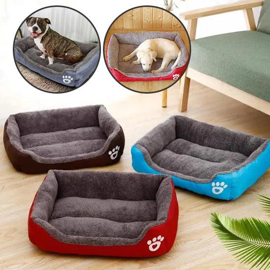 Coussin Chien - l'école du chien
