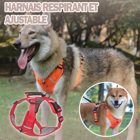 Harnais Anti Traction - l'école du chien