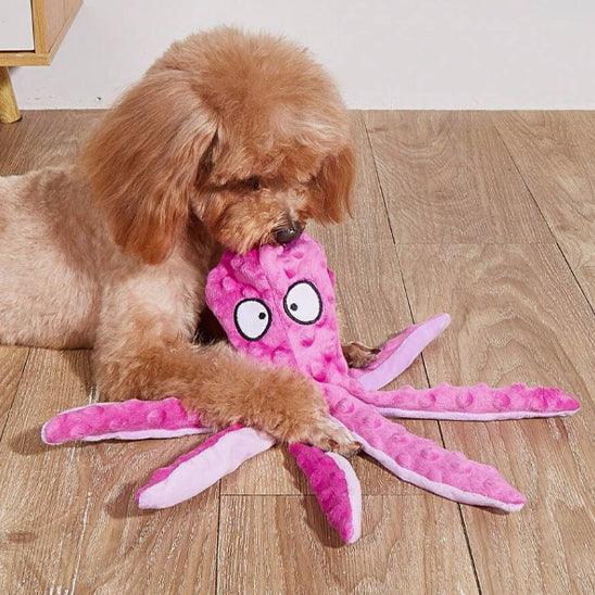 Jouet pour Chien - l'école du chien