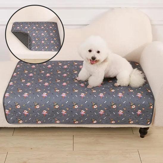 Tapis pour Chien - l'école du chien