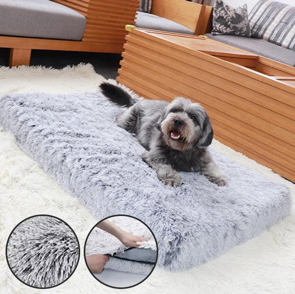 Tapis pour Chien - l'école du chien