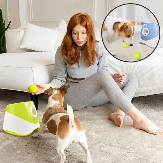 Lanceur de Balle pour Chien - l'école du chien