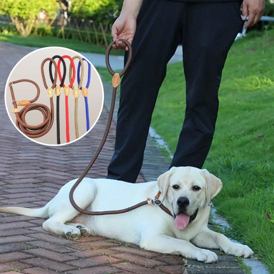 Laisse pour Chien - l'école du chien