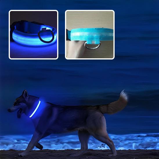 GlowPaw™ | Collier Lumineux pour Chien - l'école du chien