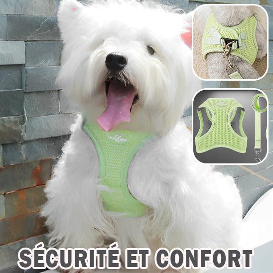 Harnais Chien - l'école du chien