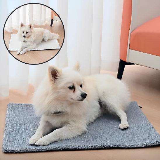 Tapis pour Chien - l'école du chien