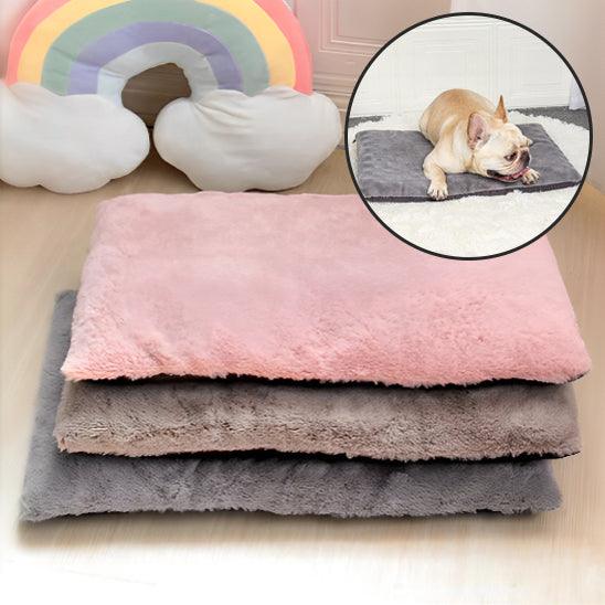 Tapis pour Chien - l'école du chien