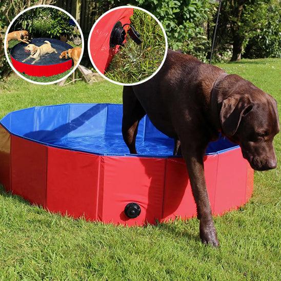 Piscine pour Chien - l'école du chien