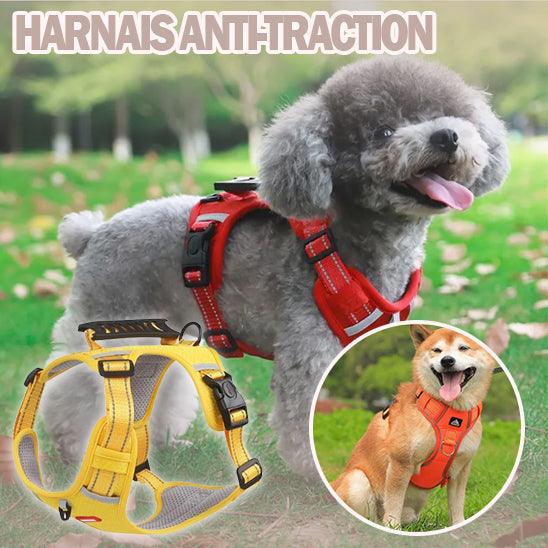 Harnais Anti Traction - l'école du chien