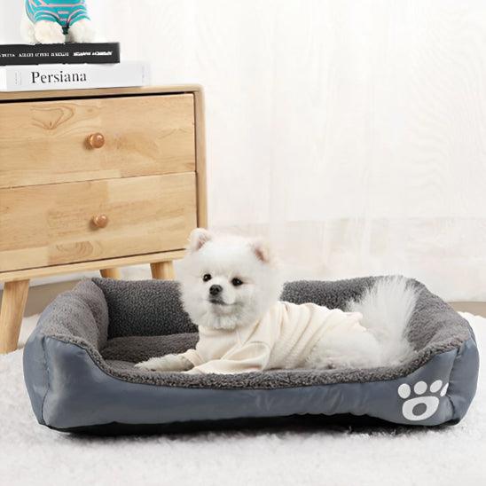 Coussin Chien - l'école du chien