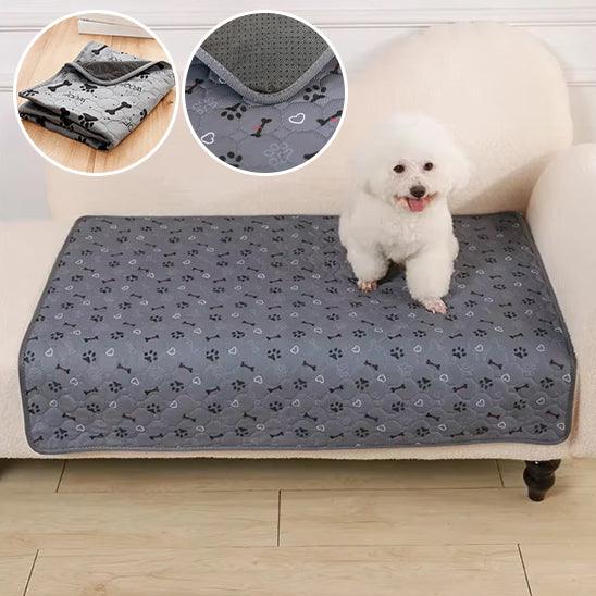 Tapis pour Chien - l'école du chien