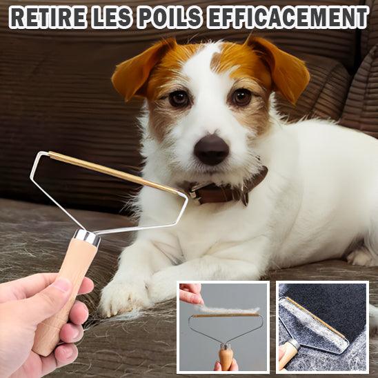 Brosse Anti Poil - l'école du chien