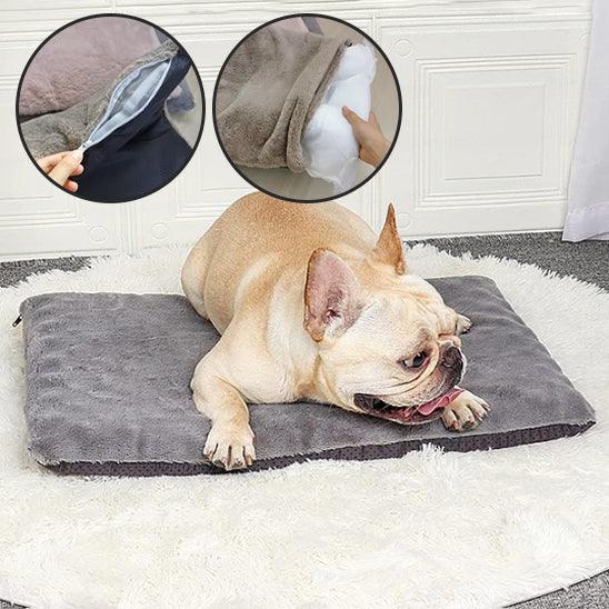 Tapis pour Chien - l'école du chien