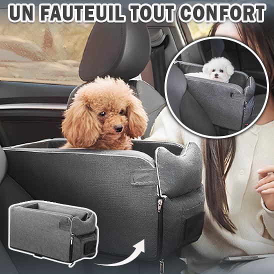 Siege Auto Chien - l'école du chien