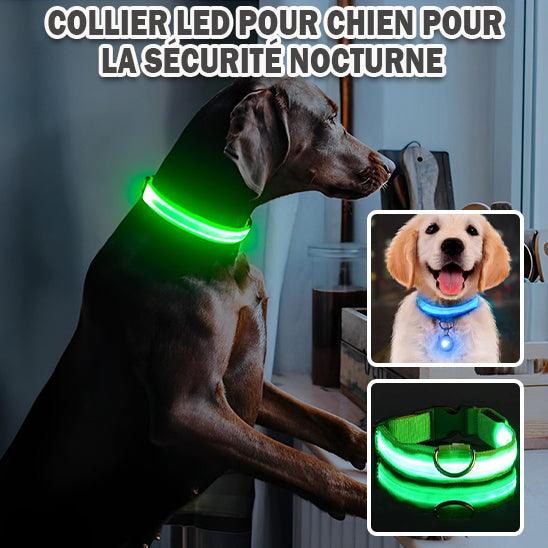 GlowPaw™ | Collier Lumineux pour Chien - l'école du chien