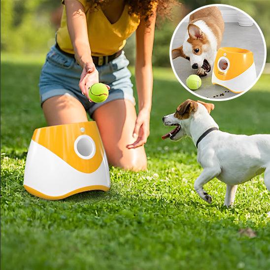 Lanceur de Balle pour Chien - l'école du chien