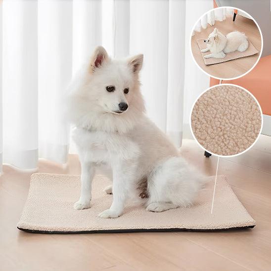 Tapis pour Chien - l'école du chien