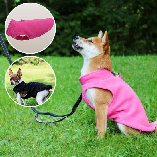Manteau Chien - l'école du chien