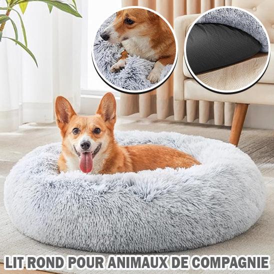 Coussin pour Chien | ConfortoPaw™ - l'école du chien