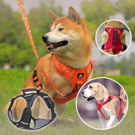 Harnais Anti Traction - l'école du chien