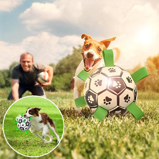 Ballon Chien - l'école du chien
