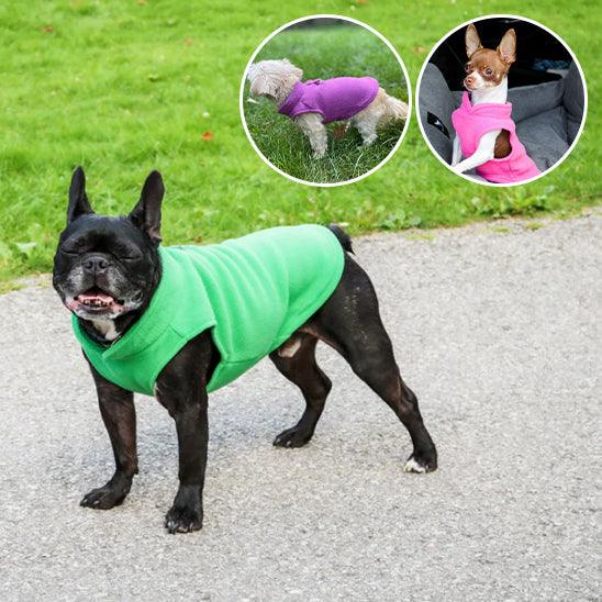 Manteau Chien - l'école du chien