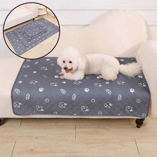 Tapis pour Chien - l'école du chien