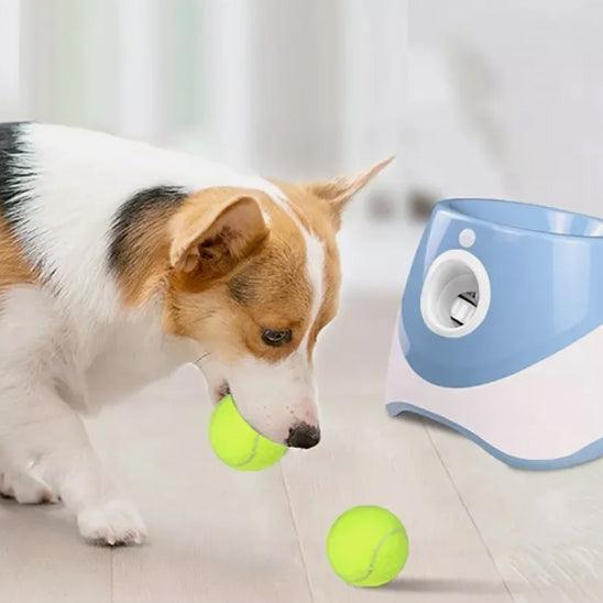 Lanceur de Balle pour Chien - l'école du chien